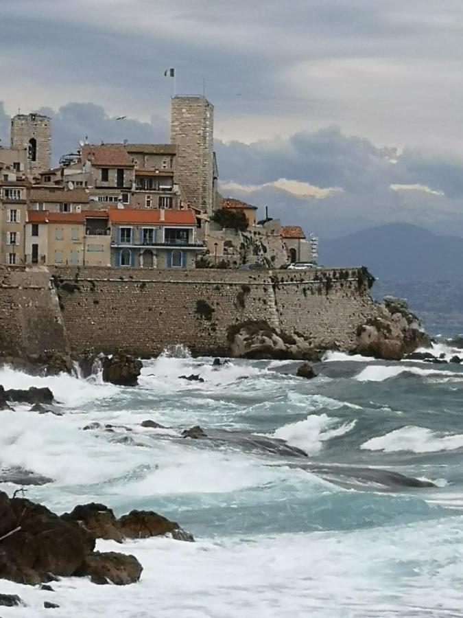 5 Min To Sea Suite Francaise Old Town Antibes Dış mekan fotoğraf