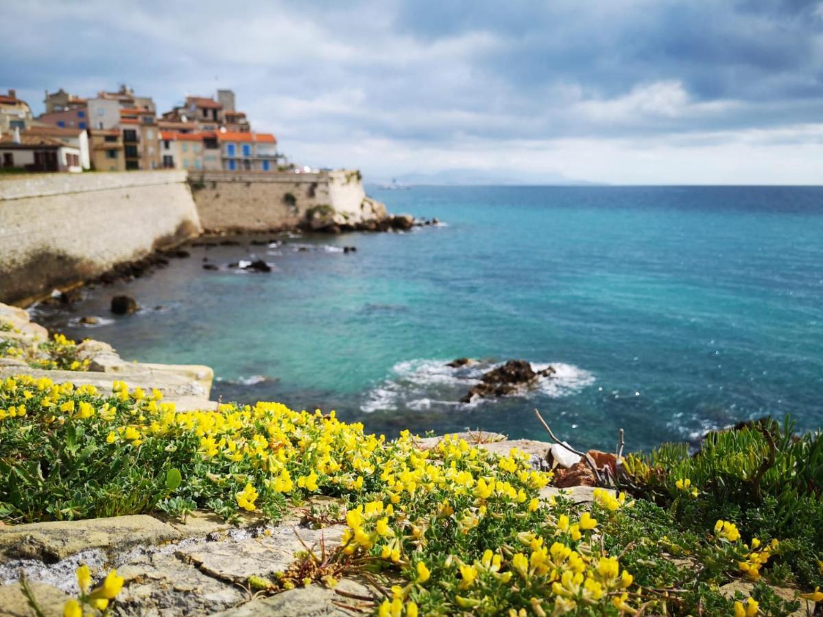 5 Min To Sea Suite Francaise Old Town Antibes Dış mekan fotoğraf