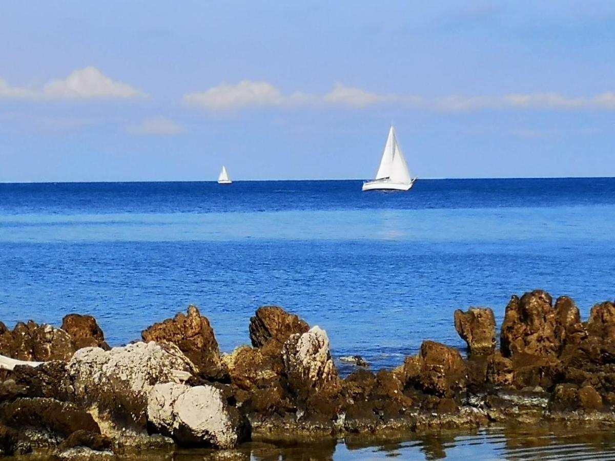 5 Min To Sea Suite Francaise Old Town Antibes Dış mekan fotoğraf